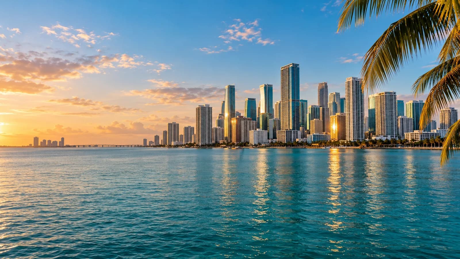 Illustration of Miami's bay, palms and skyline in warm evening light